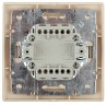 1-105-11 Intro Выключатель двойной с подсветкой, 10А-250В, IP20, СУ, Plano, сосна
