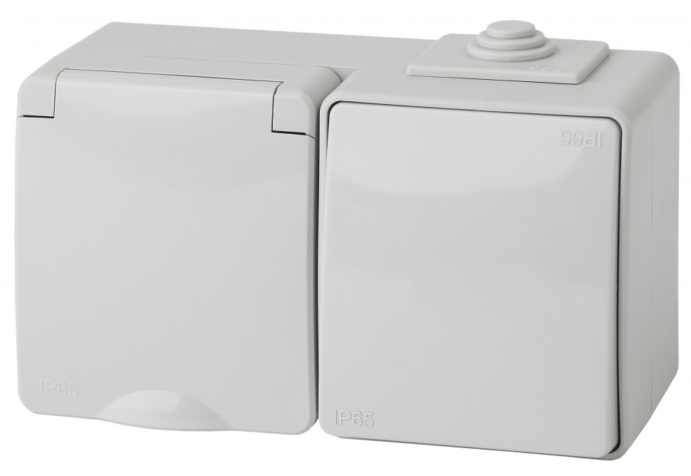 11-7601-03 ЭРА Блок розетка+выкл. гориз. IP65, 16A(10AX)-250В, ОУ, Эра Эксперт, серый