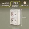 Розетка Intro Quadro 2-203-02 двойная без заземления 2х2P, 16А-250В, IP20, ОУ, Quadro, слоновая кость