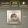 1-202-04 Intro Розетка 2P+E Schuko, 16А-250В, IP20, СУ, Plano, шампань