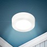 Светильник светодиодный ЭРА LED 19-18-6K накладной круглый 18Вт 6500К