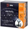 ENIOP-09 ЭРА Проектор LED Метель, IP44, 220В