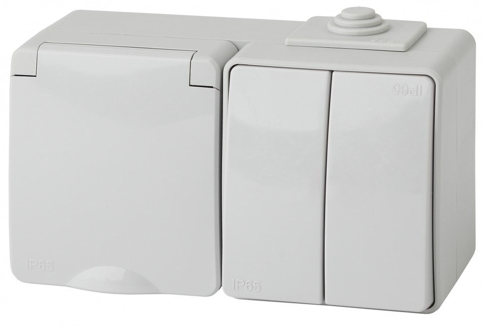 11-7602-03 ЭРА Блок розетка+выкл. двойн. гориз. IP65, 16A(10AX)-250В, ОУ, Эра Эксперт, серый