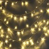 ENON-10B ЭРА Гирлянда LED Нить 10 м теплый свет, 24V, IP44