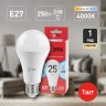 Лампочка светодиодная ЭРА RED LINE LED A65-25W-840-E27 R Е27 / E27 25 Вт груша нейтральный белый свет