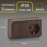 2-702-10 Intro Блок розетка+выкл. двойной гориз. 10А-250В, IP20, ОУ, Quadro, венге