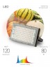 Фитопрожектор для растений светодиодный ЭРА FITO-80W-Ra90-LED-Y полного спектра