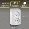 2Э-203-01 Intro Розетка 2х2P, 16А-250В, ОУ, б.м.п., Quadro, белый