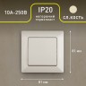 4-101-02 Intro Выключатель, 10А-250В, СУ, Solo, сл.кость