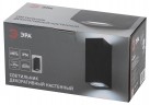 Декоративная подсветка ЭРА WL38 BK MR16/GU10 (2 шт.), черный, для интерьера, фасадов зданий