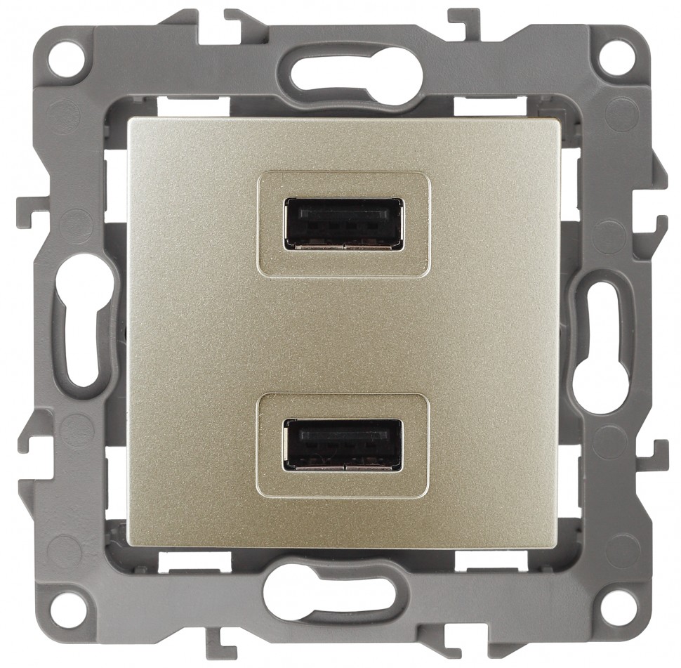 12-4110-04 ЭРА Устройство зарядное USB, 230В/5В-2100мА, IP20, Эра12, шампань