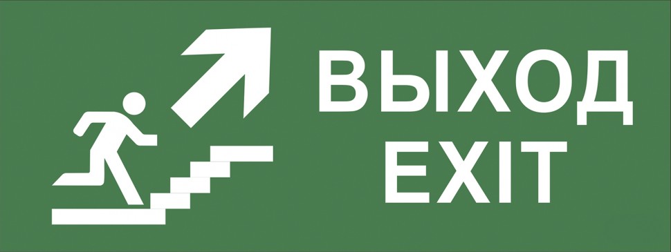 Самоклеящаяся этикетка ЭРА INFO-SSA-110 350х130мм Выход/лестница вверх/фигура SSA-101