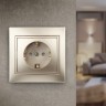 1-206-04 Intro Розетка 2P+E Schuko со шторками, 16А-250В, IP20, СУ, Plano, шампань