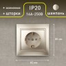 1-206-04 Intro Розетка 2P+E Schuko со шторками, 16А-250В, IP20, СУ, Plano, шампань