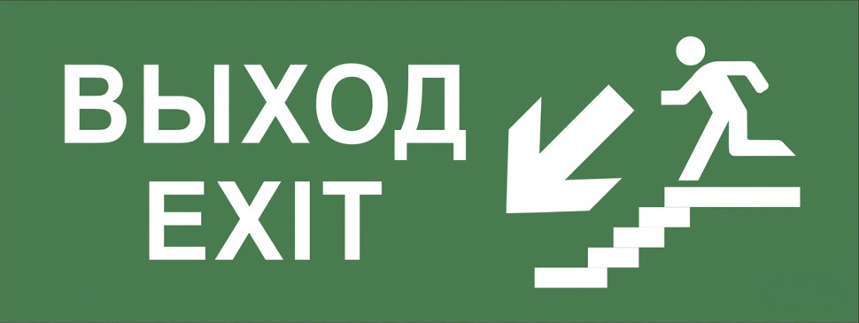 Самоклеящаяся этикетка ЭРА INFO-SSA-109 350х130мм Выход/лестница вниз/фигура SSA-101