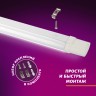Светильник для растений, фитолампа светодиодная линейная ЭРА FITO-36W-RB-N красно-синего спектра 36 Вт