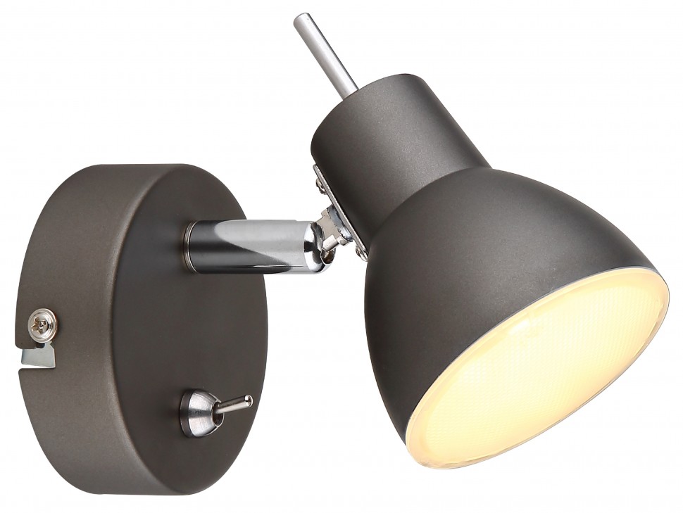 Светильник настенно-потолочный спот Rivoli Renata 6158-701 светодиодный GR LED 1х 4 Вт 3200К поворотный с выключателем