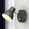 Светильник настенно-потолочный спот Rivoli Renata 6158-701 светодиодный GR LED 1х 4 Вт 3200К поворотный с выключателем