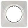 KL64A PS Светильник ЭРА литой пов. MR16,12V/220V, 50W перламутровое серебро