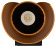 Декоративная подсветка ЭРА WL42 BK+GD светодиодная 10Вт 3500К черный/золото IP54 для интерьера, фасадов зданий